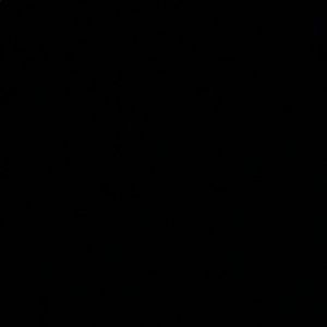 Meet your Posher, Whitney